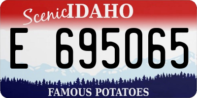 ID license plate E695065