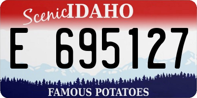 ID license plate E695127
