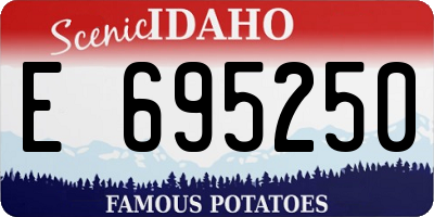 ID license plate E695250