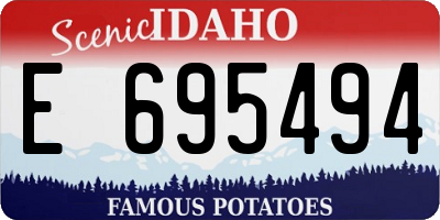 ID license plate E695494