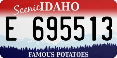 ID license plate E695513