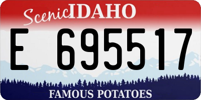 ID license plate E695517