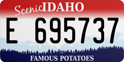 ID license plate E695737