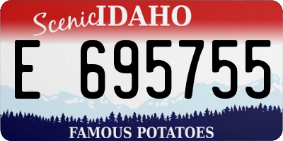 ID license plate E695755