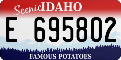 ID license plate E695802
