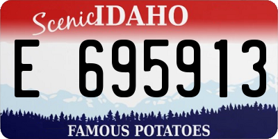 ID license plate E695913