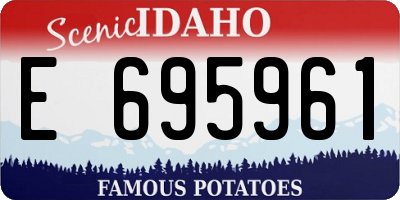 ID license plate E695961