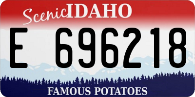 ID license plate E696218