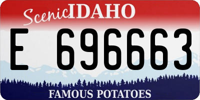ID license plate E696663