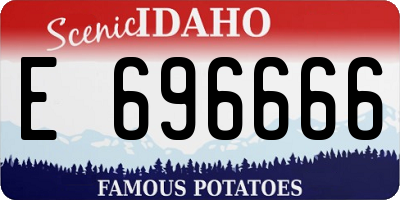 ID license plate E696666