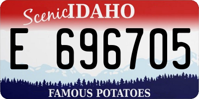 ID license plate E696705