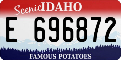 ID license plate E696872