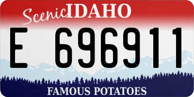 ID license plate E696911