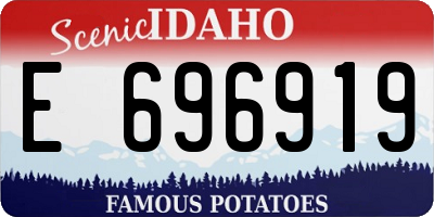 ID license plate E696919