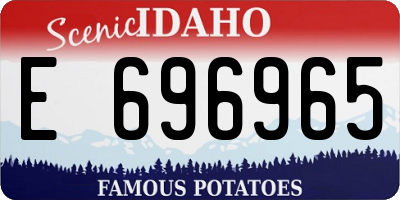 ID license plate E696965
