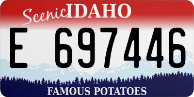 ID license plate E697446