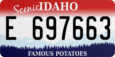 ID license plate E697663