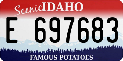 ID license plate E697683