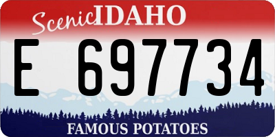 ID license plate E697734