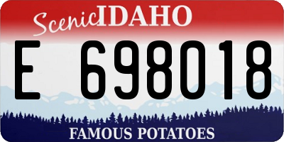 ID license plate E698018