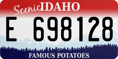 ID license plate E698128