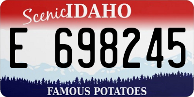 ID license plate E698245
