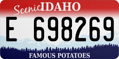 ID license plate E698269