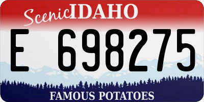 ID license plate E698275
