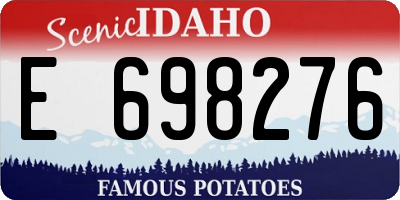 ID license plate E698276