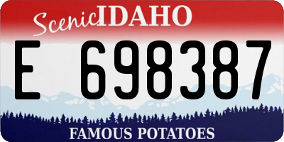 ID license plate E698387