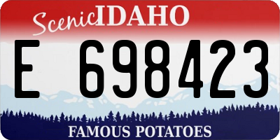 ID license plate E698423