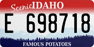 ID license plate E698718
