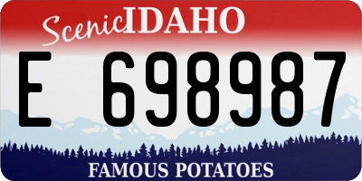 ID license plate E698987