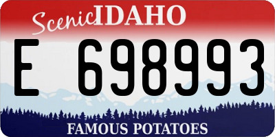 ID license plate E698993