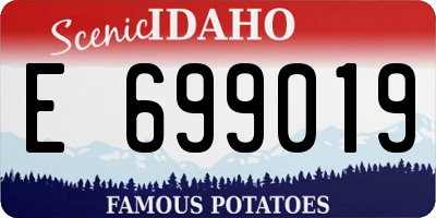 ID license plate E699019