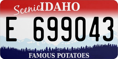 ID license plate E699043