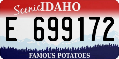 ID license plate E699172