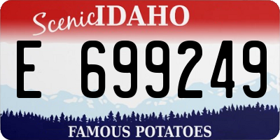 ID license plate E699249