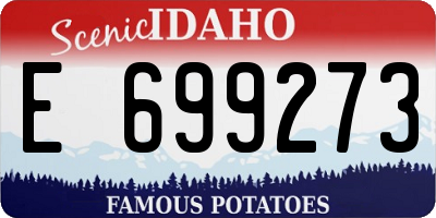 ID license plate E699273
