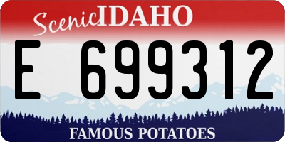 ID license plate E699312