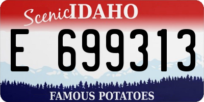 ID license plate E699313
