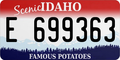 ID license plate E699363