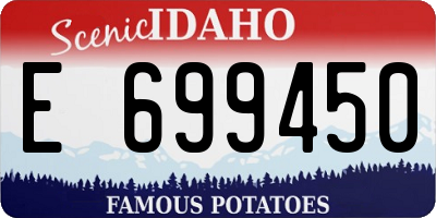 ID license plate E699450