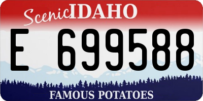 ID license plate E699588