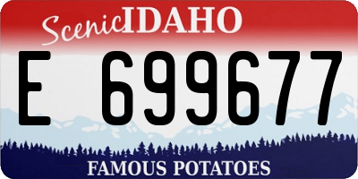 ID license plate E699677