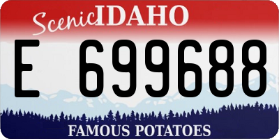 ID license plate E699688