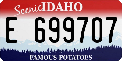ID license plate E699707