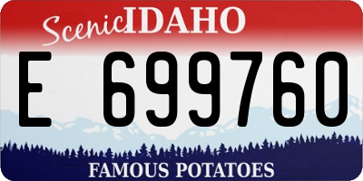 ID license plate E699760