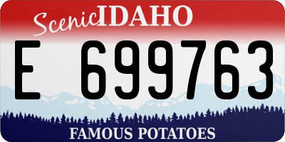 ID license plate E699763