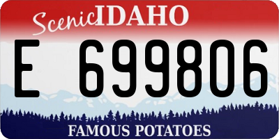 ID license plate E699806